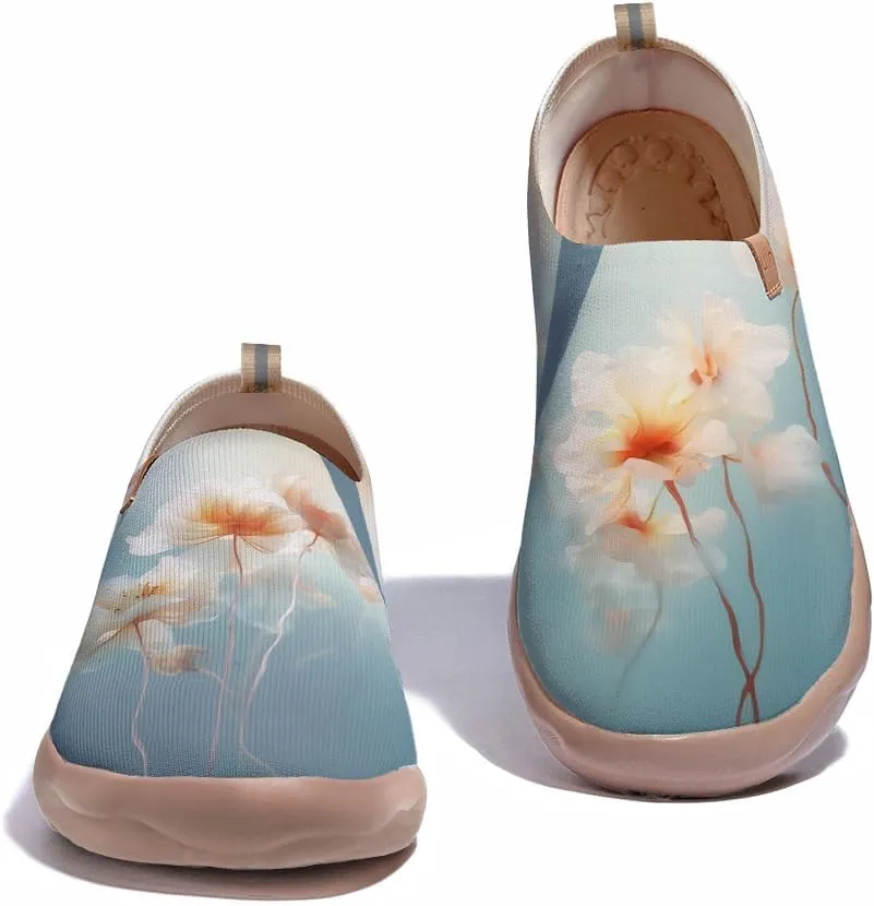 Flats Shoes for Men Art Painted Slip Ons Loafers Lightweight Walking Travel Sneakers
