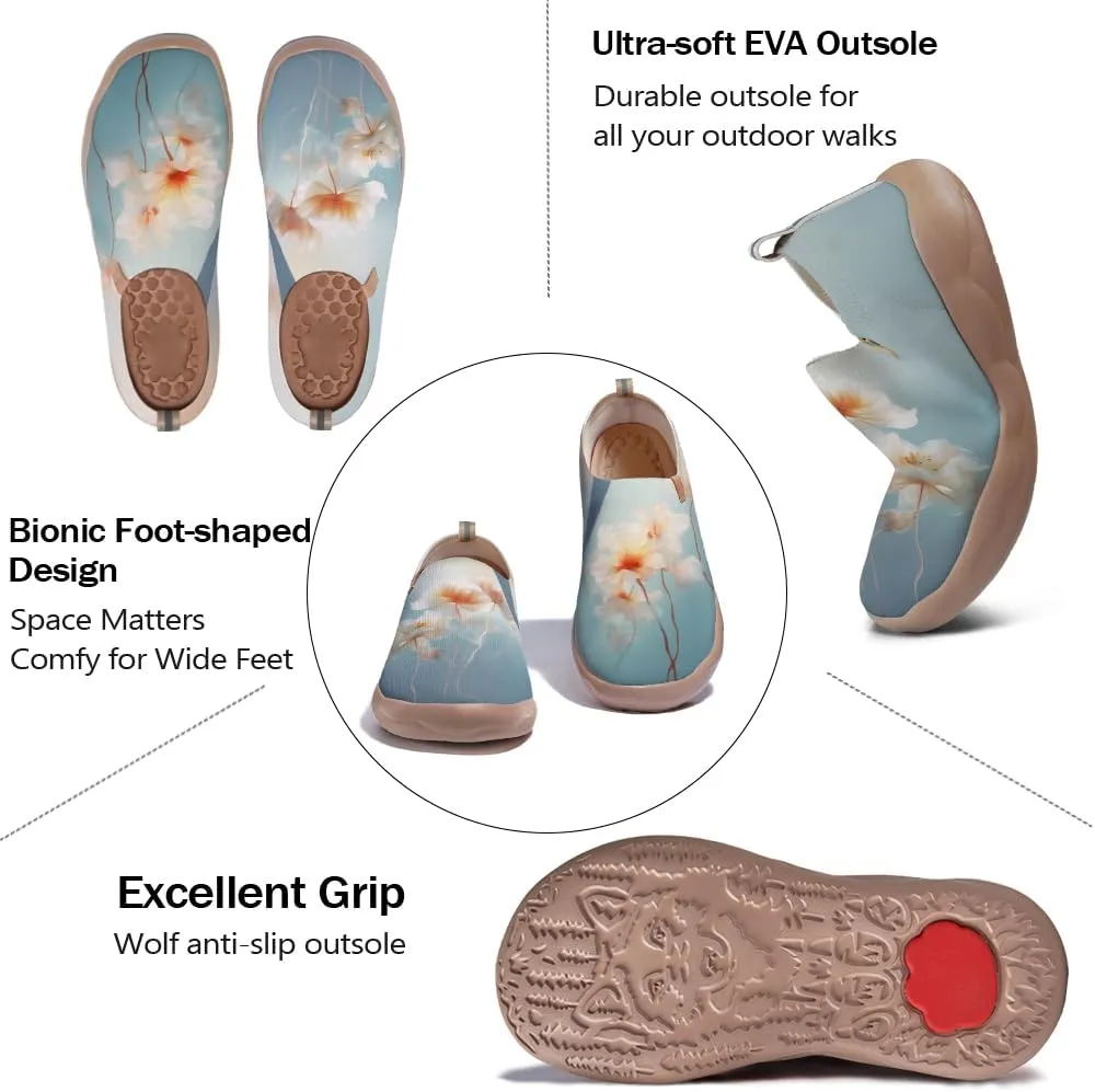 Flats Shoes for Men Art Painted Slip Ons Loafers Lightweight Walking Travel Sneakers