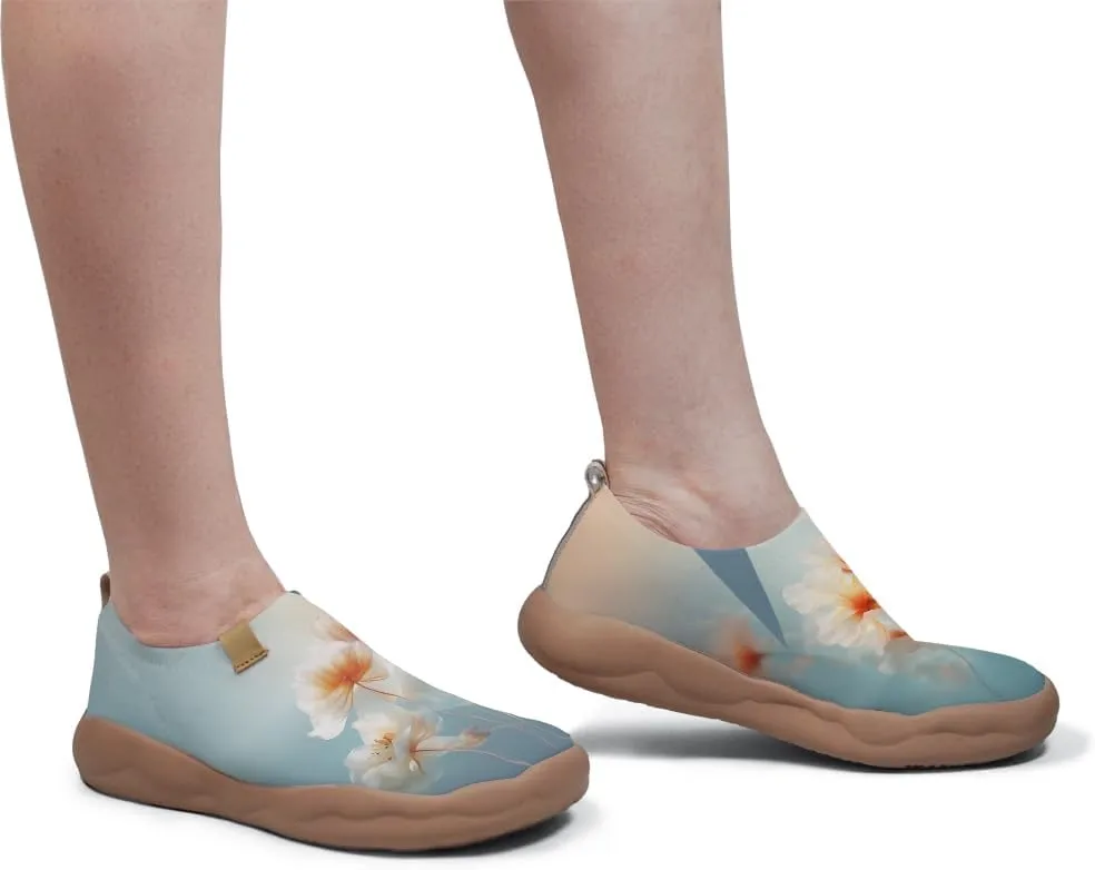 Flats Shoes for Men Art Painted Slip Ons Loafers Lightweight Walking Travel Sneakers